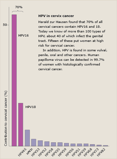 HPV in cervix cancer